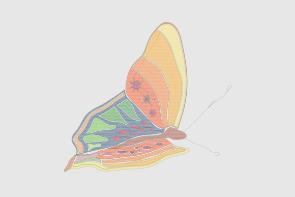 Bright November Butterfly: A Designer’s Review